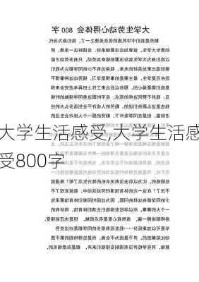 大学生活感受,大学生活感受800字