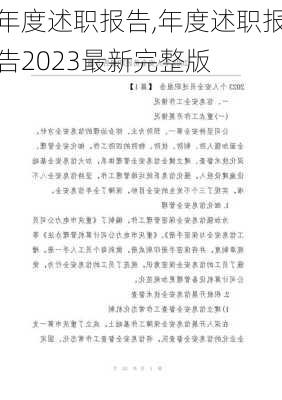 年度述职报告,年度述职报告2023最新完整版-第3张图片-二喜范文网