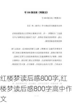 红楼梦读后感800字,红楼梦读后感800字高中作文-第3张图片-二喜范文网