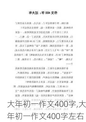 大年初一作文400字,大年初一作文400字左右-第3张图片-二喜范文网