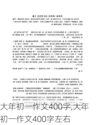 大年初一作文400字,大年初一作文400字左右-第2张图片-二喜范文网