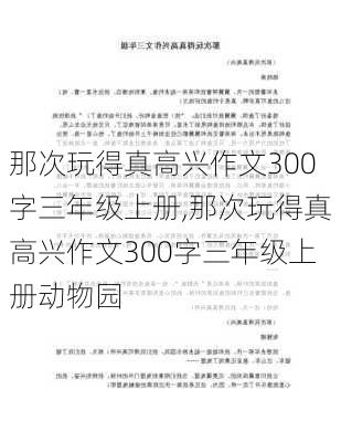 那次玩得真高兴作文300字三年级上册,那次玩得真高兴作文300字三年级上册动物园-第1张图片-二喜范文网