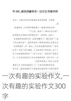 一次有趣的实验作文,一次有趣的实验作文300字-第3张图片-二喜范文网