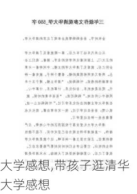 大学感想,带孩子逛清华大学感想-第1张图片-二喜范文网