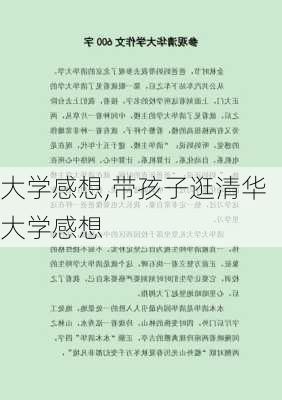 大学感想,带孩子逛清华大学感想-第2张图片-二喜范文网