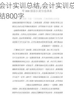 会计实训总结,会计实训总结800字-第1张图片-二喜范文网