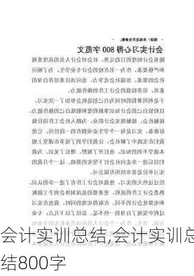 会计实训总结,会计实训总结800字-第2张图片-二喜范文网