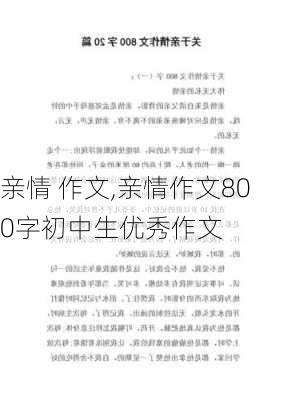 亲情 作文,亲情作文800字初中生优秀作文-第3张图片-二喜范文网