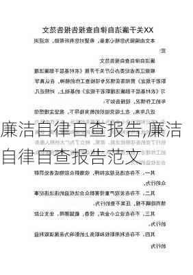 廉洁自律自查报告,廉洁自律自查报告范文-第1张图片-二喜范文网