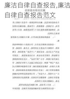 廉洁自律自查报告,廉洁自律自查报告范文-第2张图片-二喜范文网