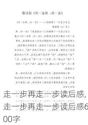 走一步再走一步读后感,走一步再走一步读后感600字-第3张图片-二喜范文网