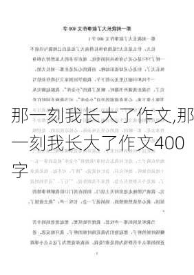 那一刻我长大了作文,那一刻我长大了作文400字-第3张图片-二喜范文网