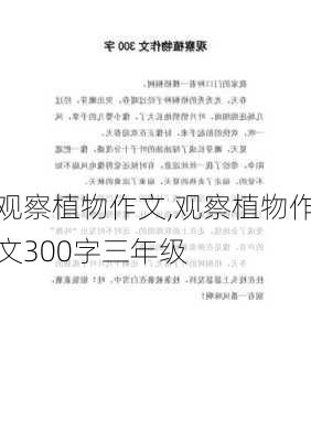 观察植物作文,观察植物作文300字三年级-第2张图片-二喜范文网