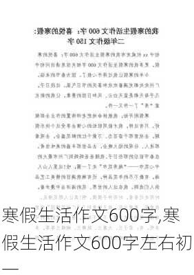 寒假生活作文600字,寒假生活作文600字左右初一-第3张图片-二喜范文网