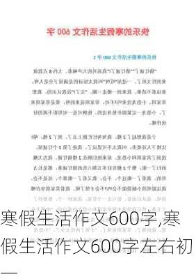 寒假生活作文600字,寒假生活作文600字左右初一-第1张图片-二喜范文网