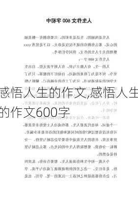 感悟人生的作文,感悟人生的作文600字-第1张图片-二喜范文网