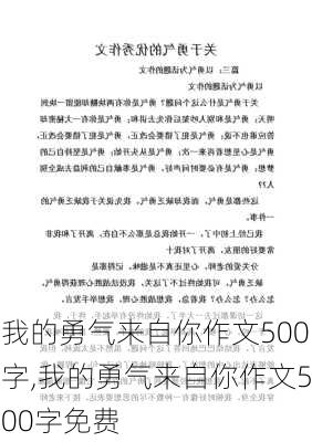 我的勇气来自你作文500字,我的勇气来自你作文500字免费-第1张图片-二喜范文网