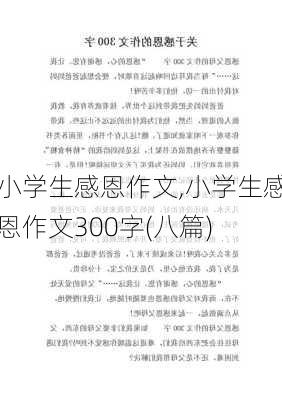 小学生感恩作文,小学生感恩作文300字(八篇)-第2张图片-二喜范文网