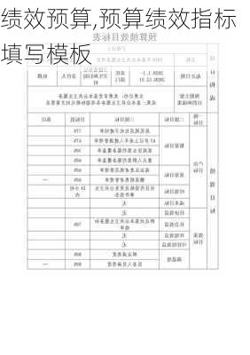 绩效预算,预算绩效指标填写模板-第1张图片-二喜范文网