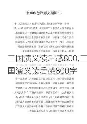 三国演义读后感800,三国演义读后感800字-第2张图片-二喜范文网