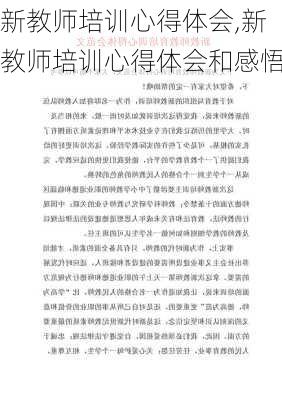 新教师培训心得体会,新教师培训心得体会和感悟-第2张图片-二喜范文网