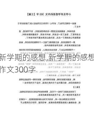 新学期的感想,新学期的感想作文300字-第2张图片-二喜范文网