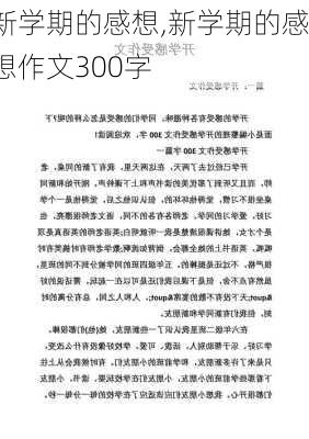 新学期的感想,新学期的感想作文300字-第3张图片-二喜范文网