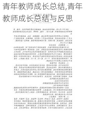 青年教师成长总结,青年教师成长总结与反思-第2张图片-二喜范文网