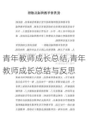 青年教师成长总结,青年教师成长总结与反思-第3张图片-二喜范文网