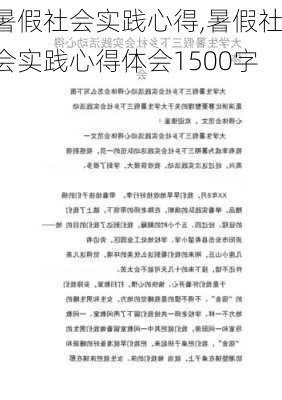 暑假社会实践心得,暑假社会实践心得体会1500字-第3张图片-二喜范文网