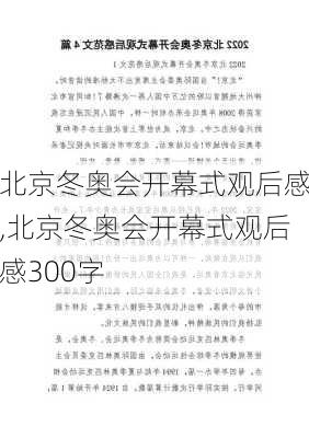 北京冬奥会开幕式观后感,北京冬奥会开幕式观后感300字-第2张图片-二喜范文网