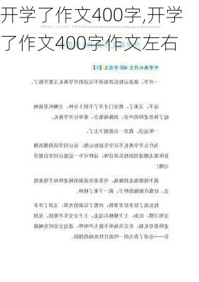 开学了作文400字,开学了作文400字作文左右-第3张图片-二喜范文网