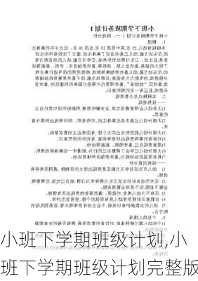 小班下学期班级计划,小班下学期班级计划完整版-第3张图片-二喜范文网