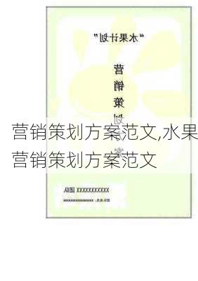 营销策划方案范文,水果营销策划方案范文-第3张图片-二喜范文网