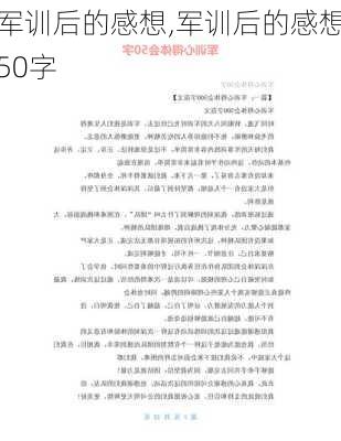 军训后的感想,军训后的感想50字-第2张图片-二喜范文网