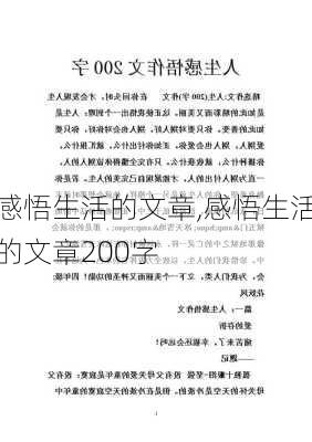 感悟生活的文章,感悟生活的文章200字-第1张图片-二喜范文网