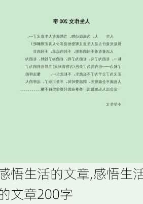 感悟生活的文章,感悟生活的文章200字-第3张图片-二喜范文网