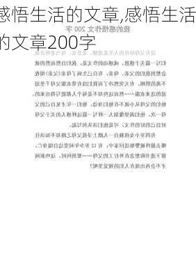 感悟生活的文章,感悟生活的文章200字-第2张图片-二喜范文网