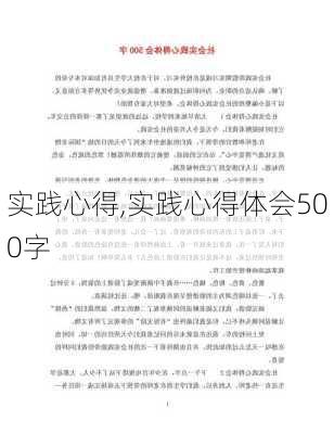 实践心得,实践心得体会500字-第3张图片-二喜范文网