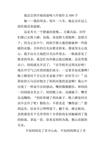 我尝到了幸福的滋味,我尝到了幸福的滋味作文600字-第3张图片-二喜范文网