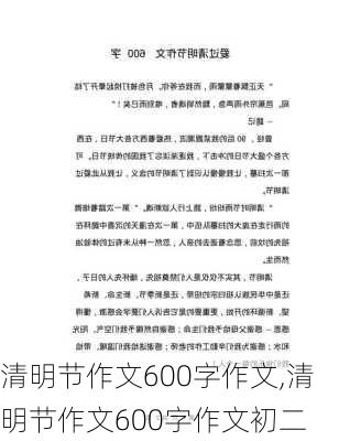 清明节作文600字作文,清明节作文600字作文初二-第1张图片-二喜范文网