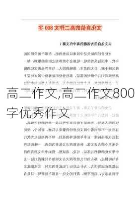 高二作文,高二作文800字优秀作文-第2张图片-二喜范文网