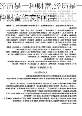 经历是一种财富,经历是一种财富作文800字-第1张图片-二喜范文网