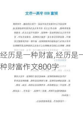 经历是一种财富,经历是一种财富作文800字-第2张图片-二喜范文网