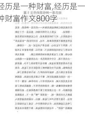 经历是一种财富,经历是一种财富作文800字-第3张图片-二喜范文网