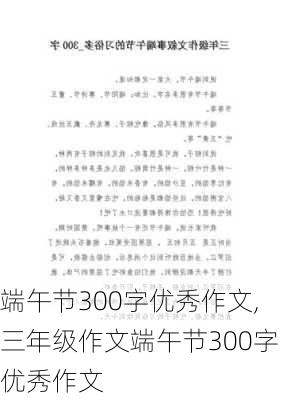 端午节300字优秀作文,三年级作文端午节300字优秀作文-第2张图片-二喜范文网