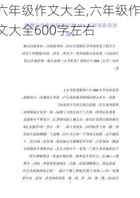 六年级作文大全,六年级作文大全600字左右-第3张图片-二喜范文网