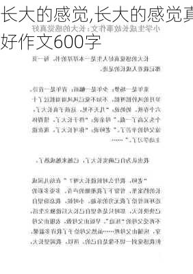 长大的感觉,长大的感觉真好作文600字-第3张图片-二喜范文网