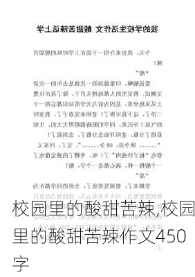 校园里的酸甜苦辣,校园里的酸甜苦辣作文450字-第3张图片-二喜范文网