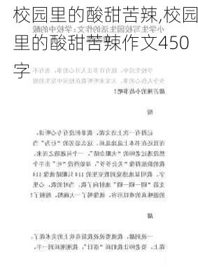 校园里的酸甜苦辣,校园里的酸甜苦辣作文450字-第2张图片-二喜范文网